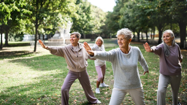 Retiree Health Cost Estimator